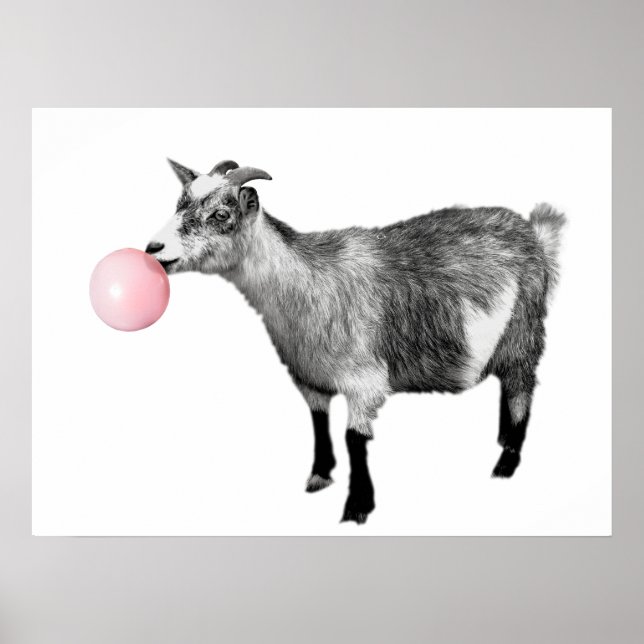 Cute Black White Goat Bubble Gum Nursery Child Poster (Front)