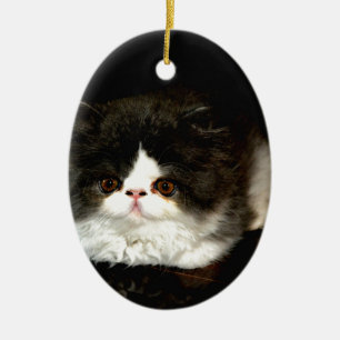Cute black white kitten cat ceramic ornament