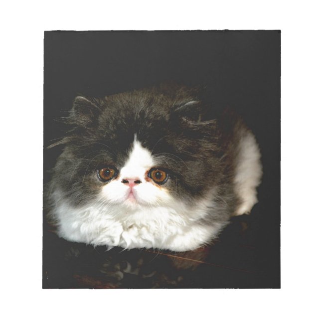 Cute black white kitten cat notepad (Front)
