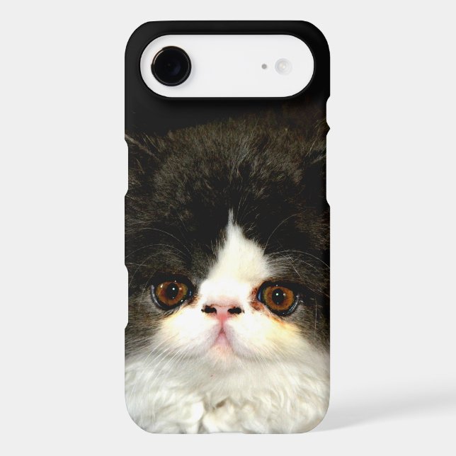 Cute black white kitten photo Case-Mate iPhone case (Back)