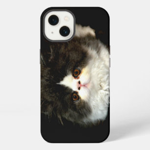 Cute black white kitten photo iPhone 13 case
