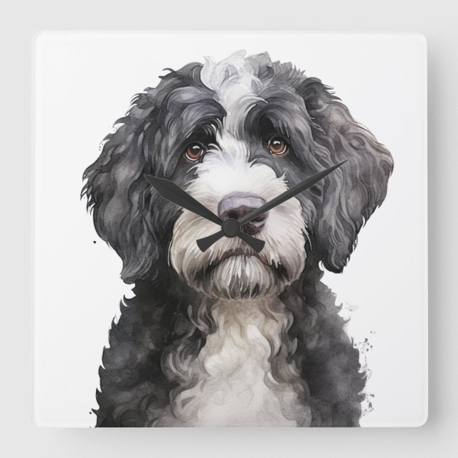 CUTE BLACK & WHITE PORTUGESE WATER DOG SQUARE WALL CLOCK (Front)