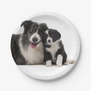 Cute Black White Puppy Dog Border Collie Party Paper Plate
