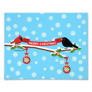 Cute Blackbird And Cardinal On Branch - MERRY XMAS Photo Print