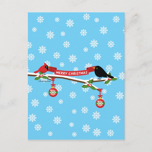 Cute Blackbird And Cardinal On Branch - MERRY XMAS Postcard (Front)