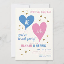Cute Blue and Pink Boy or Girl Gender Reveal Party