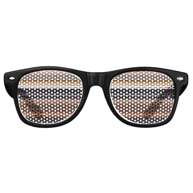 Cute blue brown stripes retro sunglasses (Front)