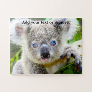 Cute blue eyed koala bear marsupial, Australia, Jigsaw Puzzle