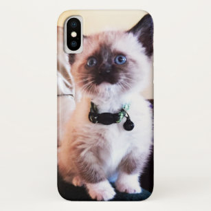 Cute Blue Eyed Masked Kitten Photograph Case-Mate iPhone Case