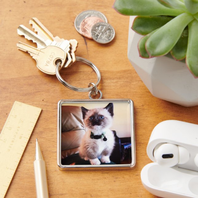 Cute Blue Eyed Masked Kitten Photograph Key Ring (Desk)