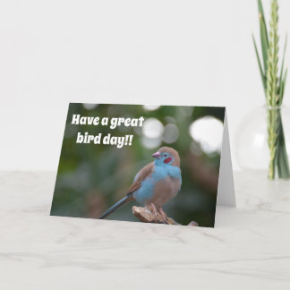 Cute blue finch birthday card