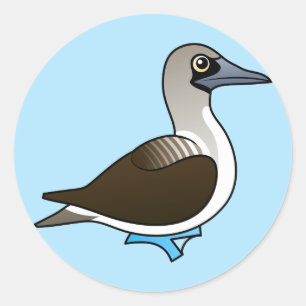 Cute Blue-footed Booby Classic Round Sticker
