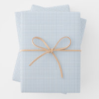 Cute blue gingham simple classic checks