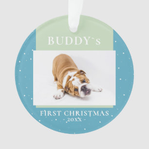 Cute Blue Green First Christmas Puppy Photo Ornament
