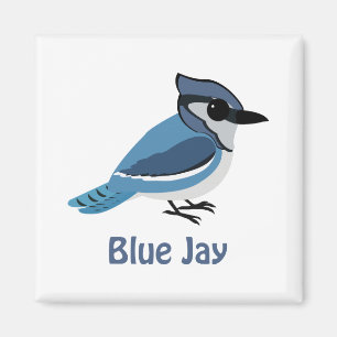 Cute Blue Jay Magnet