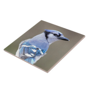 Cute Blue Jay Songbird on Treestump Ceramic Tile