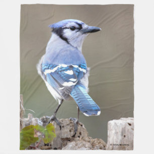 Cute Blue Jay Songbird on Treestump Fleece Blanket