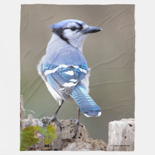 Cute Blue Jay Songbird on Treestump Fleece Blanket (Front)