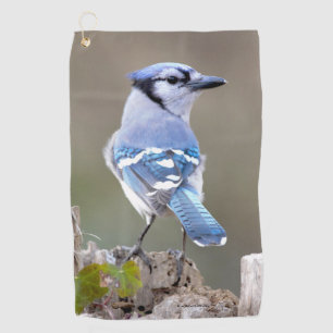 Cute Blue Jay Songbird on Treestump Golf Towel