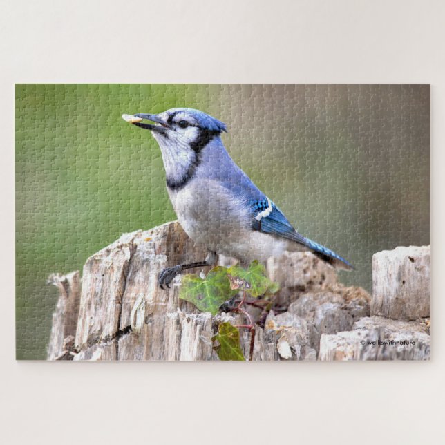 Cute Blue Jay Songbird on Treestump Jigsaw Puzzle (Horizontal)