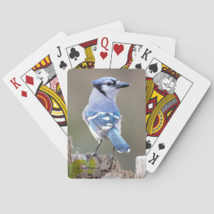 Cute Blue Jay Songbird on Treestump Playing Cards