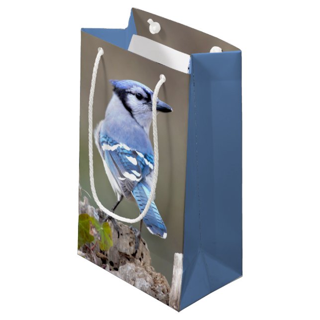 Cute Blue Jay Songbird on Treestump Small Gift Bag (Front Angled)