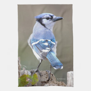 Cute Blue Jay Songbird on Treestump Tea Towel
