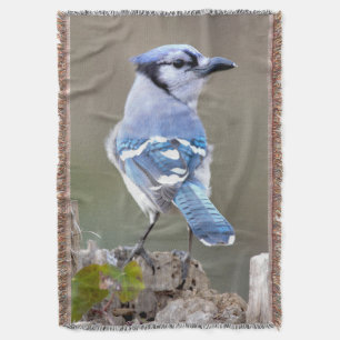 Cute Blue Jay Songbird on Treestump Throw Blanket