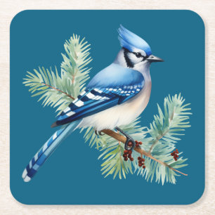 Cute Blue Jay Square Paper Coaster