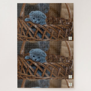 Cute blue kitten puzzle. jigsaw puzzle