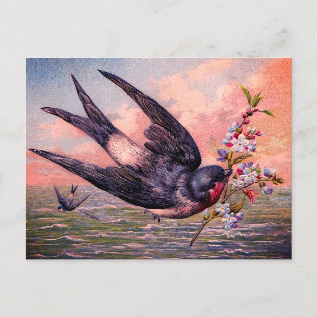 Cute Blue Orange Swallow Bird And Pretty Flowers Postcard (Front)
