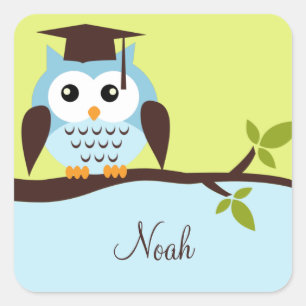 Cute Blue Owl Square Sticker