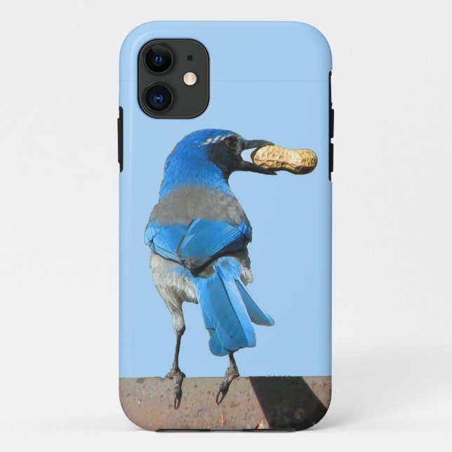 Cute Blue Scrub Jay Bird & Peanut Case-Mate iPhone Case (Back)