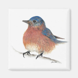 Cute Bluebird Painted Art Magnet