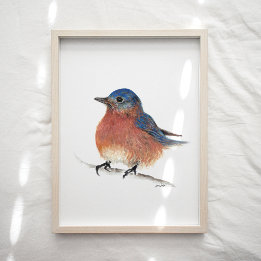 Cute Bluebird Watercolor Art Print