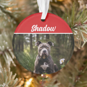 Cute Bluenose Pitbull Dog Holiday Christmas Photo Ornament