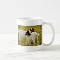 Cute Boer Goats in Sunny Pasture Farm Animal