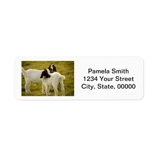 Cute Boer Goats Personalise Return Address Label (Front)