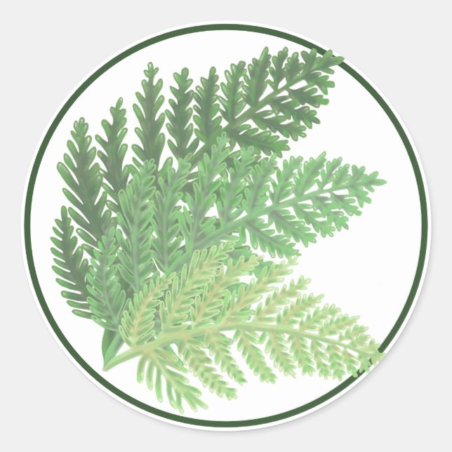 Cute boho Moss Green Fern Classic Round Sticker (Front)