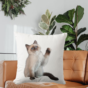 Cute Bold Siamese Cat Custom Decor Gift White Cushion