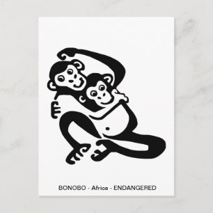Cute BONOBO- Chimpanzee - Primate - Ape -  Postcard