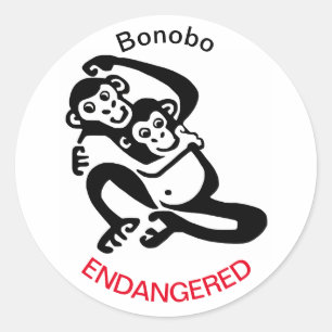 Cute -BONOBO -Endangered  chimpanzee  Classic Round Sticker