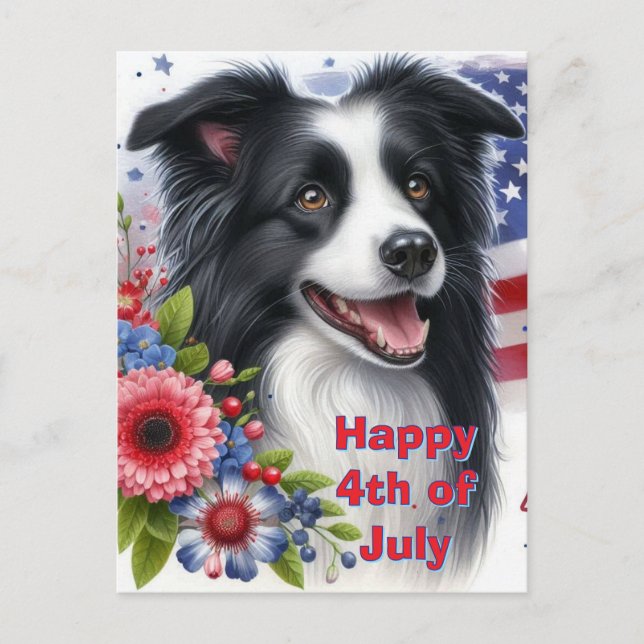 Cute Border Collie 4th of July Holiday Postcard (Front)