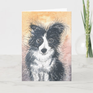 Cute Border Collie Card, For Collie Enthusiasts! Card