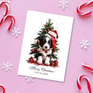 Cute Border Collie Christmas Puppy Personalised Holiday Card