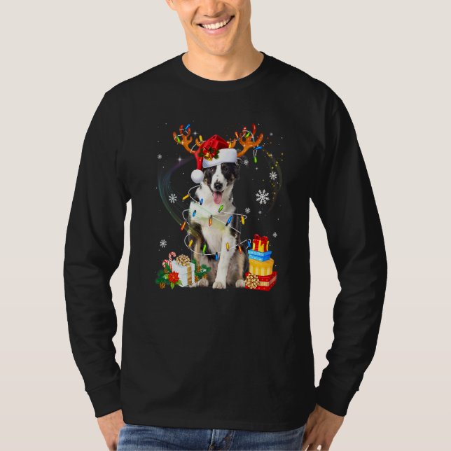 Cute Border Collie Dog Lights Santa Hat Sweater Ch (Front)