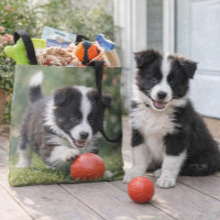 Cute Border Collie Dog Lover