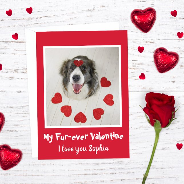 Cute Border Collie dog Valentine's day love hearts Holiday Card (Creator Uploaded)