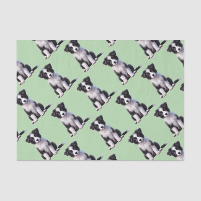 Cute Border Collie Puppy Tissue Paper (Front)