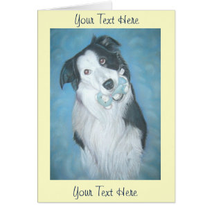 cute border collie teddy dog portrait art design